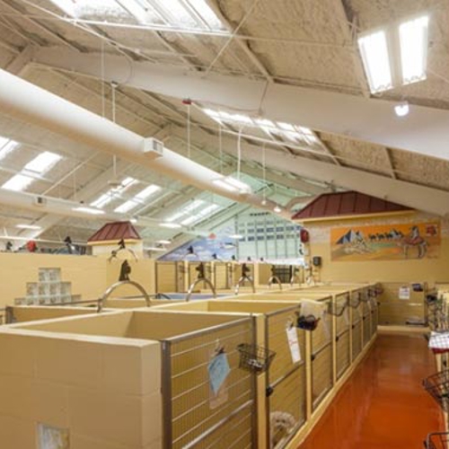 The interior boarding area of All American Pet Resorts Fort Myers